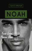 Noah True Love Never Dies (eBook, ePUB)