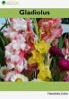 Gladiolus (eBook, ePUB) - Bild 1