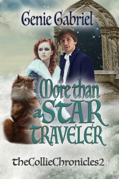Cover More Than a Star Traveler (eBook, ePUB)