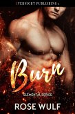Burn (Elemental Series, #4) (eBook, ePUB) Burn (Elemental Series, #4) (eBook, ePUB)