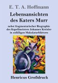 Lebensansichten des Katers Murr (Großdruck)
