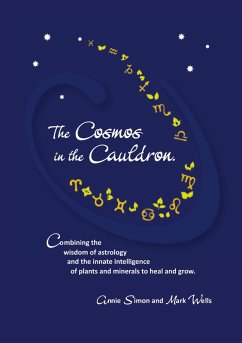 Cover The Cosmos in the Cauldron