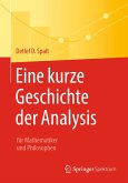 Eine kurze Geschichte der Analysis (eBook, PDF)