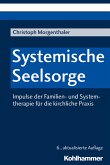 Systemische Seelsorge (eBook, PDF)
