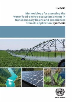 Methodology for Assessing the Water-Food-Energy-Ecosystem Nexus in Transboundary Basins and Experiences from Its Application: Synthesis