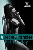 A Secret Transfer (Stories from the Box, #2) (eBook, ePUB) A Secret Transfer (Stories from the Box, #2) (eBook, ePUB)
