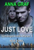 JUST LOVE - Verhängnisvolle Affären_1: New York (eBook, ePUB)