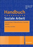 Sozialstaat, Föderalismus, Soziale Arbeit (eBook, PDF)