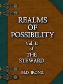 REALMS OF POSSIBILITY (eBook, ePUB)