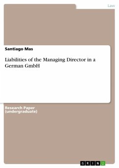 Liabilities of the Managing Director in a German GmbH - Mas, Santiago