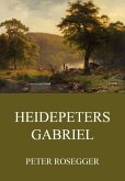 Heidepeters Gabriel (eBook, ePUB)