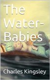 The Water-Babies (eBook, PDF)