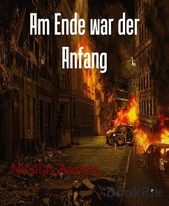 Am Ende war der Anfang (eBook, ePUB) - Arenas, Nicolas