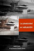 La Plasticidad En Valuación