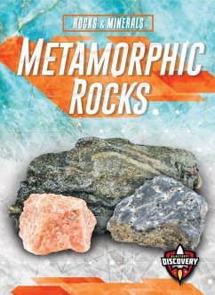 Metamorphic Rocks - VanVoorst, Jennifer Fretland