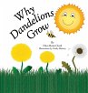 Why Dandelions Grow - Bild 1