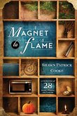 A Magnet to a Flame: A Collection of 28 Short Stories and 3 Poems