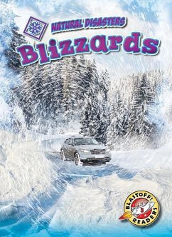 Blizzards - Rathburn, Betsy