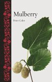 Mulberry Mulberry