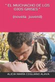 &quote; El Muchacho de Los Ojos Grises &quote; ( Novela Juvenil )