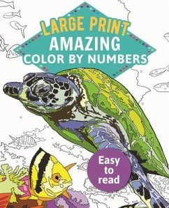 Amazing Color by Numbers Large Print - Arcturus Publishing Limited