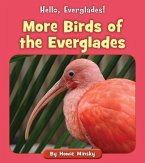 More Birds of the Everglades