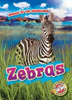 Zebras - Duling, Kaitlyn