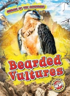 Bearded Vultures - Shaffer, Lindsay