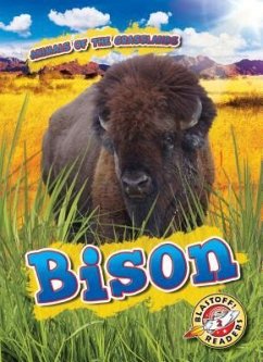 Bison - Duling, Kaitlyn