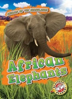 African Elephants - Duling, Kaitlyn