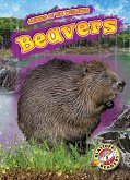 Beavers