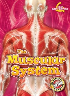 The Muscular System - Pettiford, Rebecca