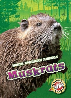 Muskrats - Albertson, Al