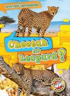 Cheetah or Leopard? - Chang, Kirsten