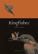 Kingfisher - Bild 1