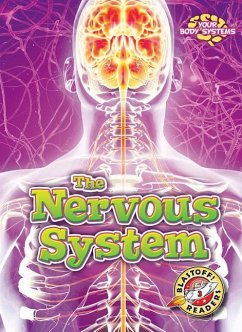 The Nervous System - Pettiford, Rebecca