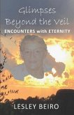 Glimpses Beyond the Veil: Encounters with Eternity