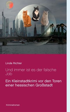 Und immer ist es der falsche Job (eBook, ePUB) - Richter, Linde