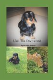 Lisel The Dachshund: Life after adoption