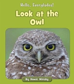 Look at the Owl - Minsky, Howie