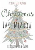 Christmas in Lake Meadow