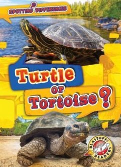 Turtle or Tortoise? - Chang, Kirsten