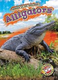 Alligators