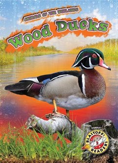 Wood Ducks - Grack, Rachel
