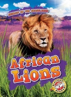 African Lions - Duling, Kaitlyn