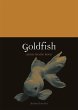 Goldfish - Bild 1