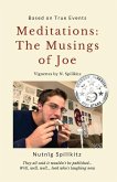 Meditations: The Musings of Joe: Vignettes by N. Spillkitz Volume 1