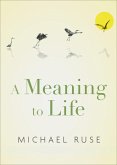 A Meaning to Life (eBook, ePUB)