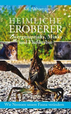 Heimliche Eroberer (eBook, ePUB) - Althoetmar, Kai