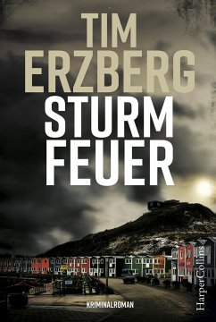 Sturmfeuer / Anna Krüger Bd.2 - Erzberg, Tim